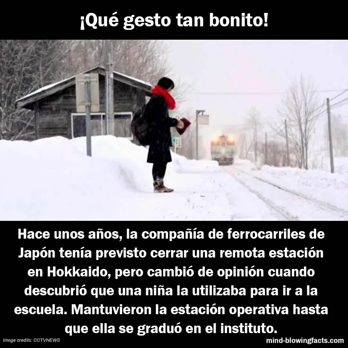 20 "Datos alucinantes" compartidos en esta página de Instagram