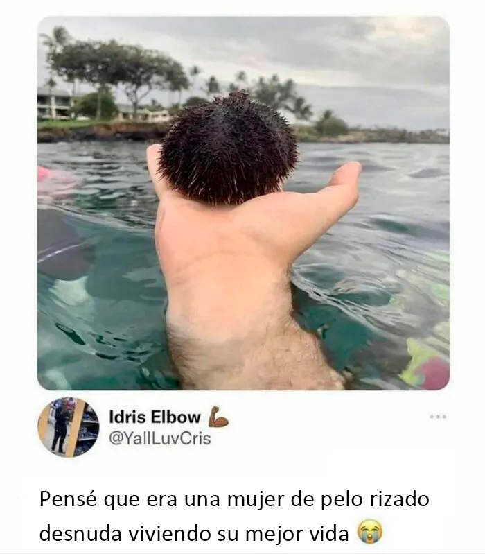 "El paraíso millennial": Esta cuenta de Instagram comparte 20 memes con los que se identificarán los treintañeros