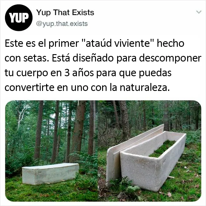 "Sí, eso existe": 20 Cosas que quizá no sabías que existían, compartidas en instagram
