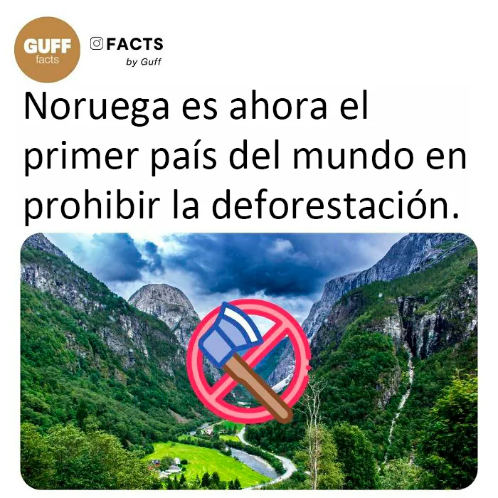20 Datos muy interesantes sobre nuestro mundo, compartidos por esta cuenta de Instagram