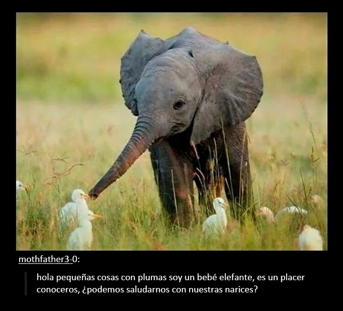 20 Publicaciones de Tumblr que valía la pena compartir con todo el mundo