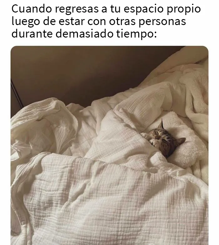 20 Divertidos memes con los que nos identificaremos demasiado, compartidos por esta página de Instagram