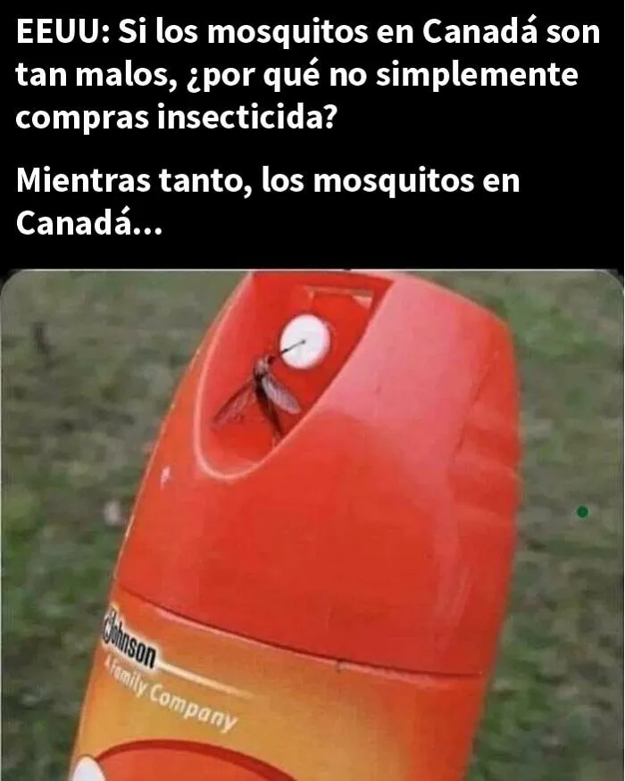 20 Memes canadienses para reírse de los estereotipos del país
