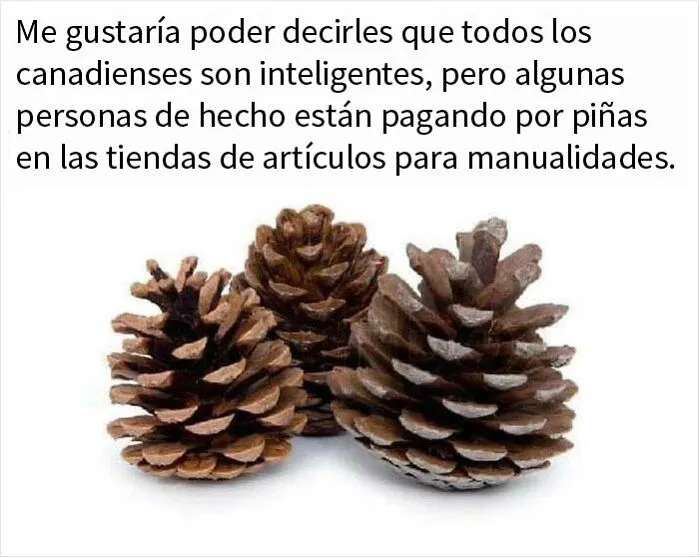 20 Memes canadienses para reírse de los estereotipos del país