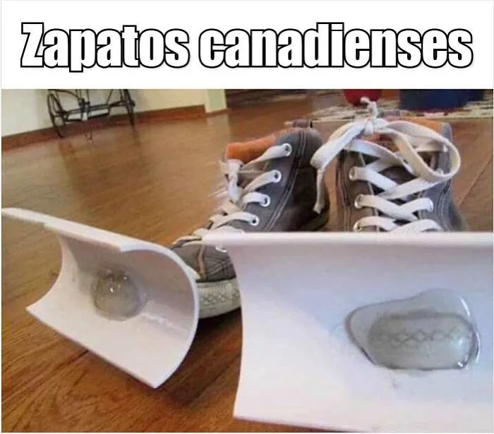 20 Memes canadienses para reírse de los estereotipos del país