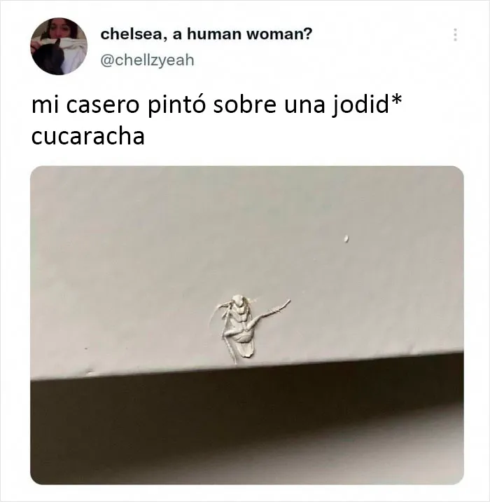 Encontré esto en Instagram