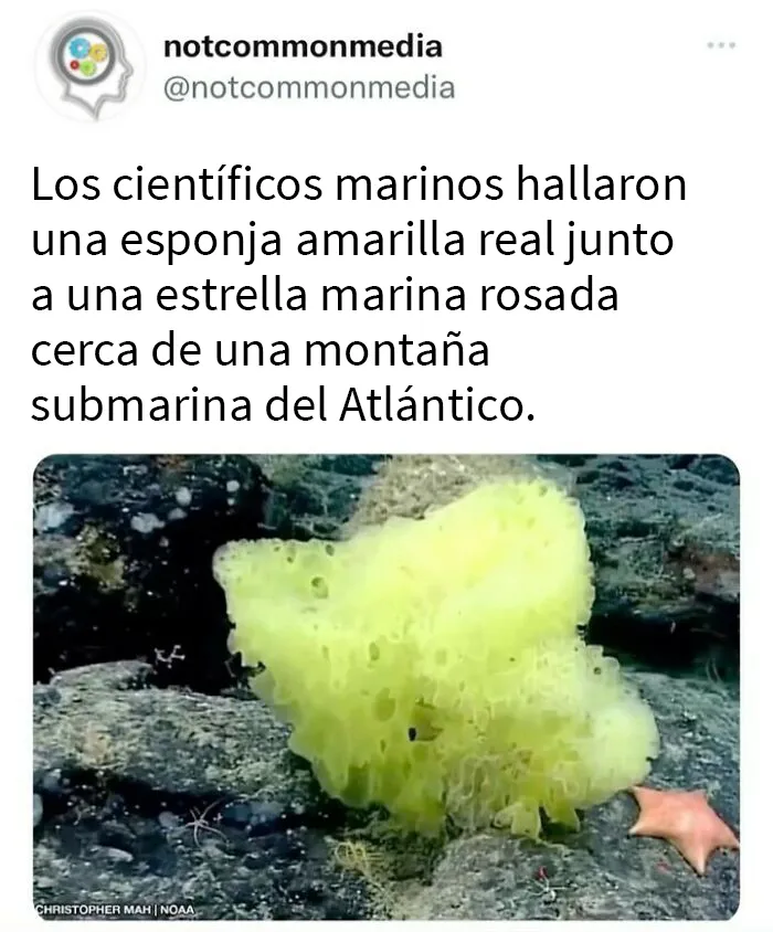 20 “Datos poco comunes” compartidos en esta cuenta de Instagram con 7,2 millones de seguidores