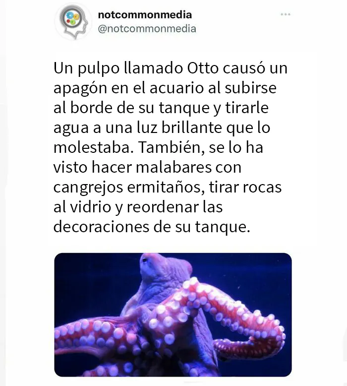 20 “Datos poco comunes” compartidos en esta cuenta de Instagram con 7,2 millones de seguidores