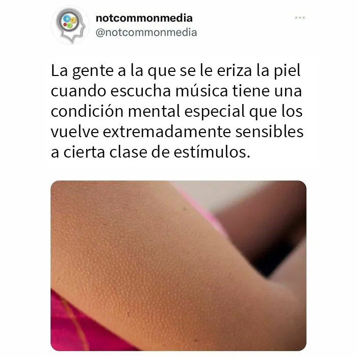 20 “Datos poco comunes” compartidos en esta cuenta de Instagram con 7,2 millones de seguidores