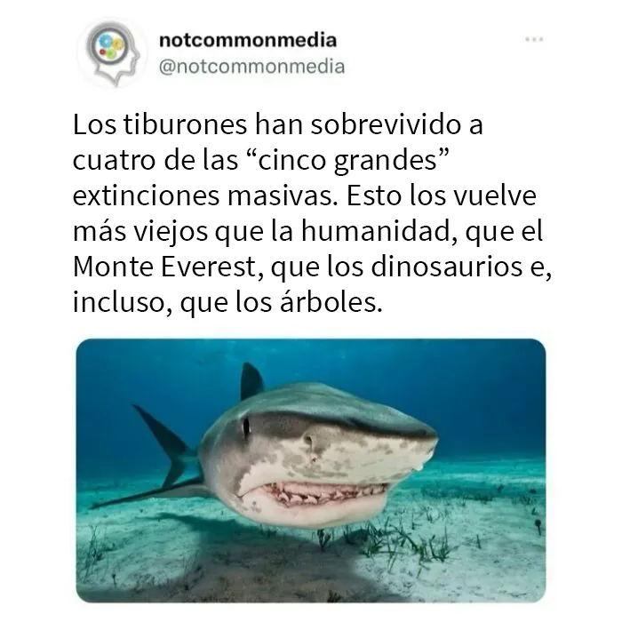 20 “Datos poco comunes” compartidos en esta cuenta de Instagram con 7,2 millones de seguidores