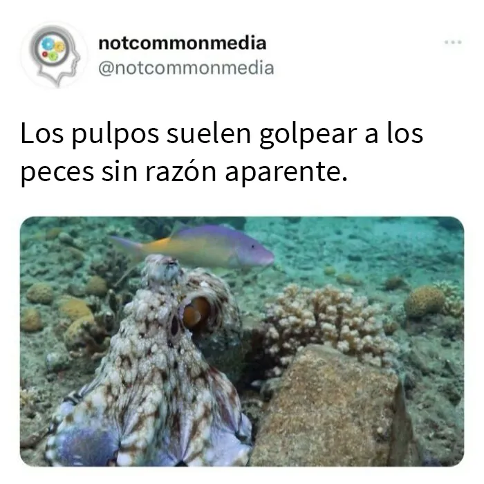 20 “Datos poco comunes” compartidos en esta cuenta de Instagram con 7,2 millones de seguidores