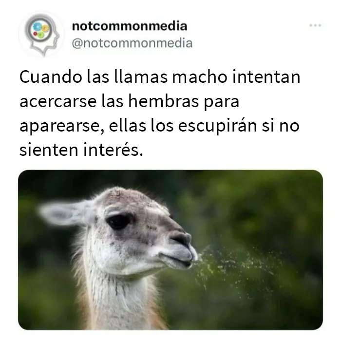 20 “Datos poco comunes” compartidos en esta cuenta de Instagram con 7,2 millones de seguidores