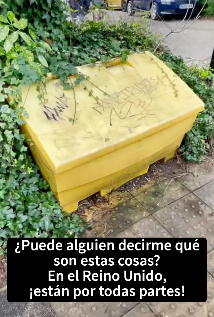 “¿Puede alguien decirme…?”: Este estadounidense se siente “confundido” por estas 20 cosas del Reino Unido