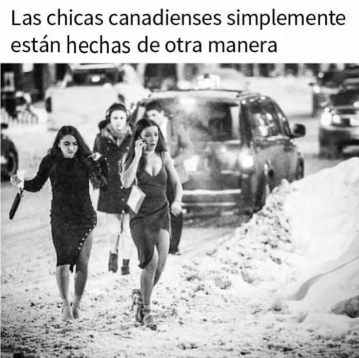 20 Memes canadienses para reírse de los estereotipos del país