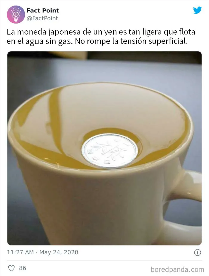 20 Datos interesantes sobre prácticamente todo lo que no sabías, compartidos por "Fact Point"