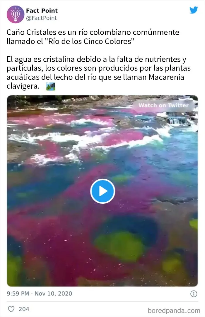 20 Datos interesantes sobre prácticamente todo lo que no sabías, compartidos por "Fact Point"