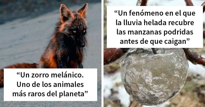 20 Datos interesantes sobre prácticamente todo lo que no sabías, compartidos por "Fact Point"