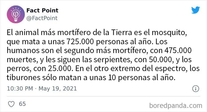 20 Datos interesantes sobre prácticamente todo lo que no sabías, compartidos por "Fact Point"