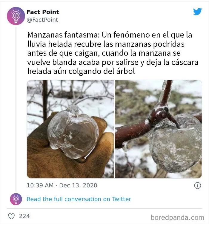 20 Datos interesantes sobre prácticamente todo lo que no sabías, compartidos por "Fact Point"