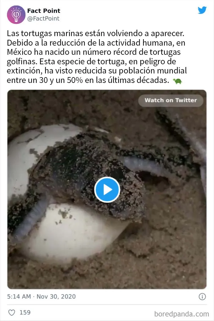 20 Datos interesantes sobre prácticamente todo lo que no sabías, compartidos por "Fact Point"