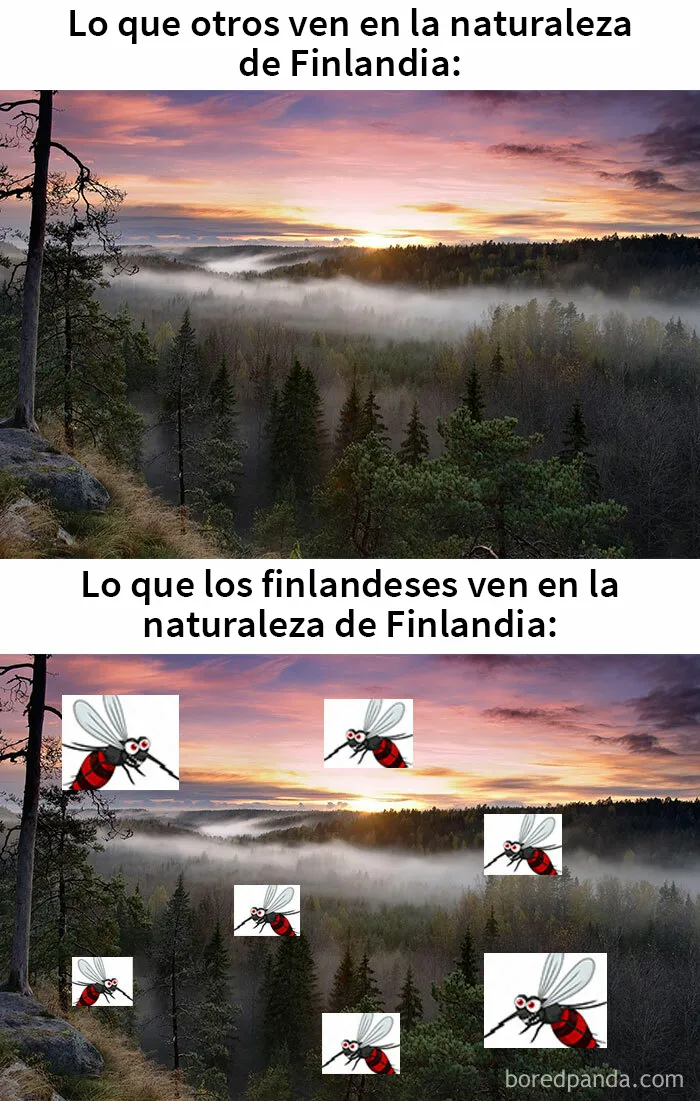 20 Memes sobre Finlandia que quizá te inspiren a querer vivir en el país más feliz del mundo