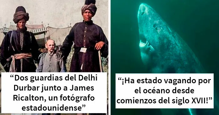 Esta cuenta de Instagram comparte datos históricos no muy conocidos, y aquí hay 30 de los más interesantes