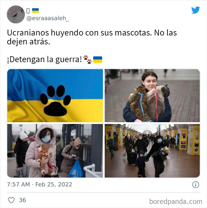 30 Importantes publicaciones sobre la invasión de Rusia a Ucrania