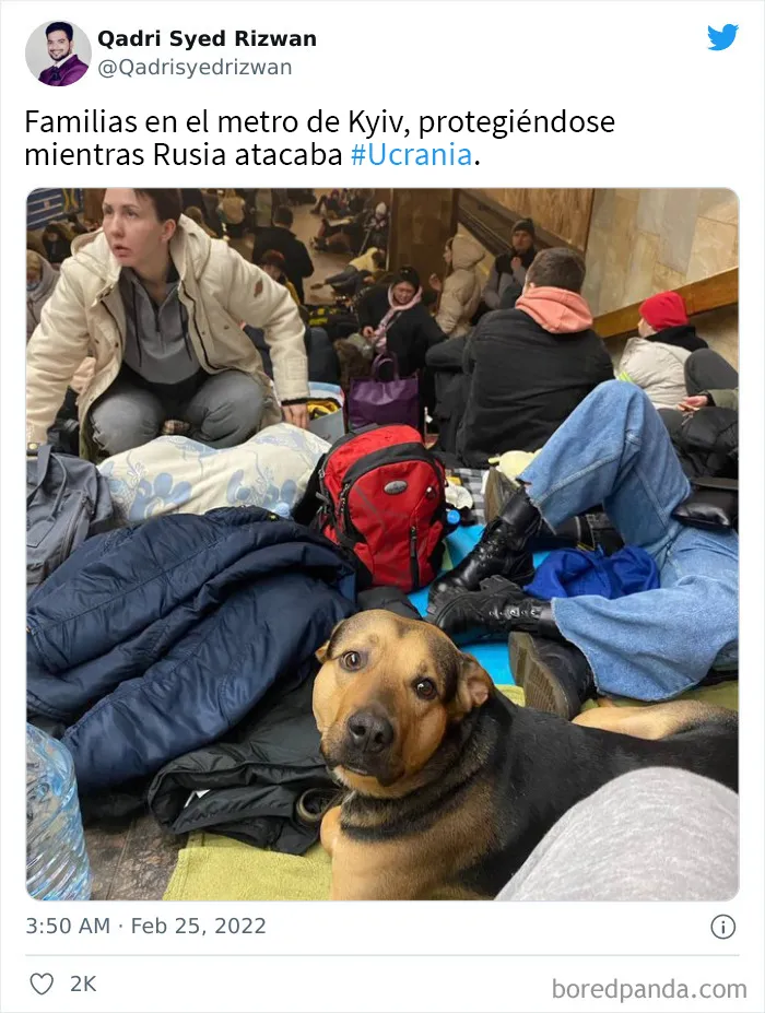 30 Importantes publicaciones sobre la invasión de Rusia a Ucrania
