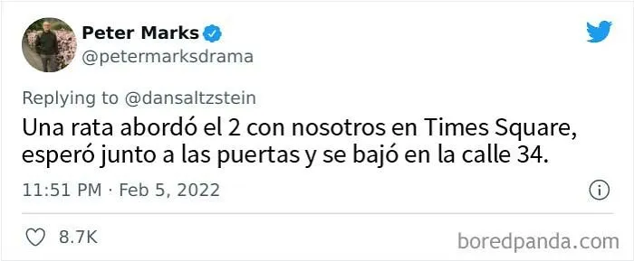 20 Neoyorquinos comparten las experiencias más agradables, extrañas y perturbadoras que les ocurrieron en Nueva York