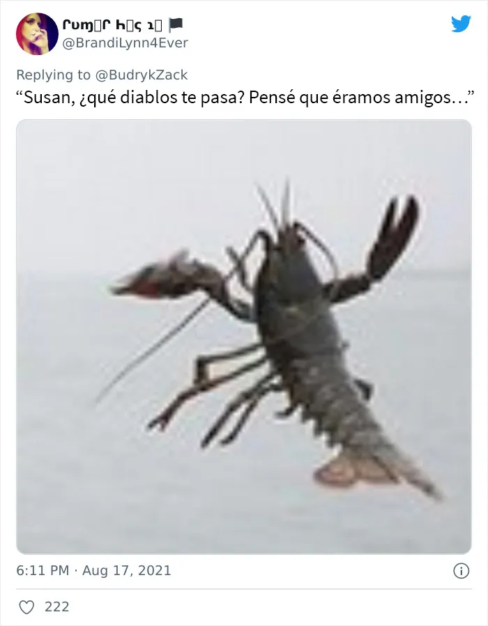 Esta mujer de 101 años fue fotografiada desechando una langosta por su tamaño y aquí tienes 20 memes al respecto