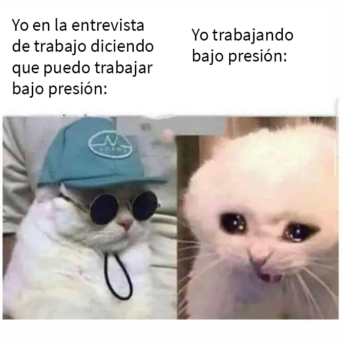 20 De los memes más sarcásticos compartidos en esta cuenta de Instagram