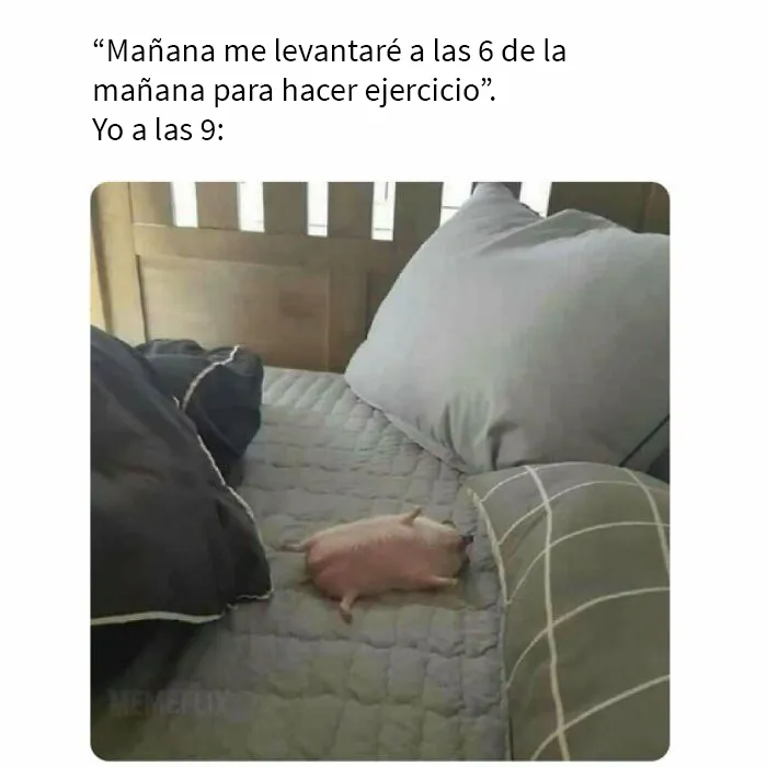 20 De los memes más sarcásticos compartidos en esta cuenta de Instagram