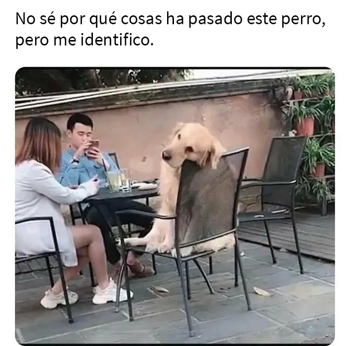 20 De los memes más sarcásticos compartidos en esta cuenta de Instagram