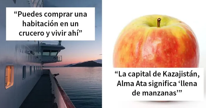 "Hoy aprendí": 40 nuevos datos que demuestran que nunca es demasiado tarde para aprender algo nuevo