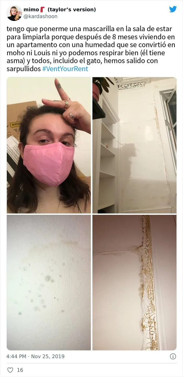 20 Inquilinos que han tenido que lidiar con situaciones MUY absurdas en sus apartamentos