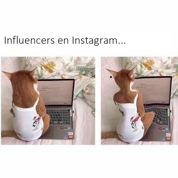 20 Divertidos memes con los que te identificarás demasiado, compartidos por esta página de Instagram