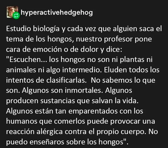 "Estás siendo rescatado, no te resistas": 20 de los mejores memes sobre optimismo ominoso