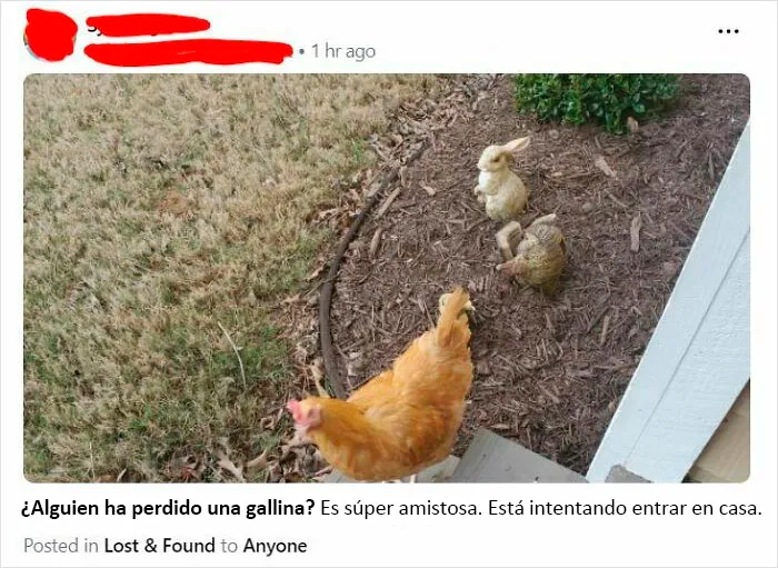  Porque Nextdoor no siempre es racista o de mal gusto, aquí hay algo más ameno