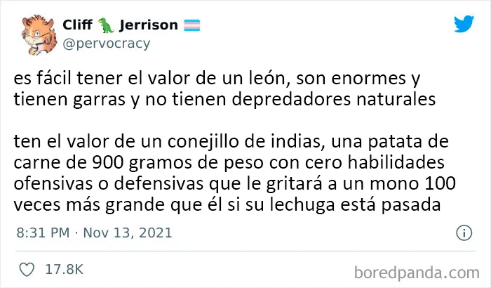 "Estás siendo rescatado, no te resistas": 20 de los mejores memes sobre optimismo ominoso