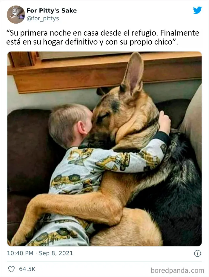 Espero que esto os alegre el día