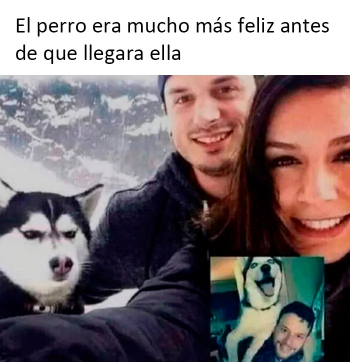 20 Divertidos memes con los que te identificarás demasiado, compartidos por esta página de Instagram