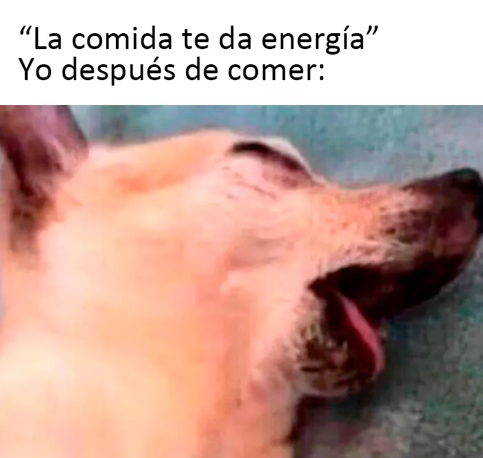 20 Divertidos memes con los que te identificarás demasiado, compartidos por esta página de Instagram