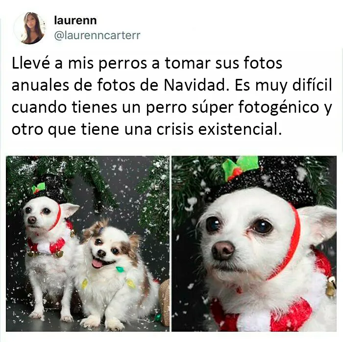 20 Tuits ofensivos pero de buen gusto compartidos en esta cuenta de Instagram