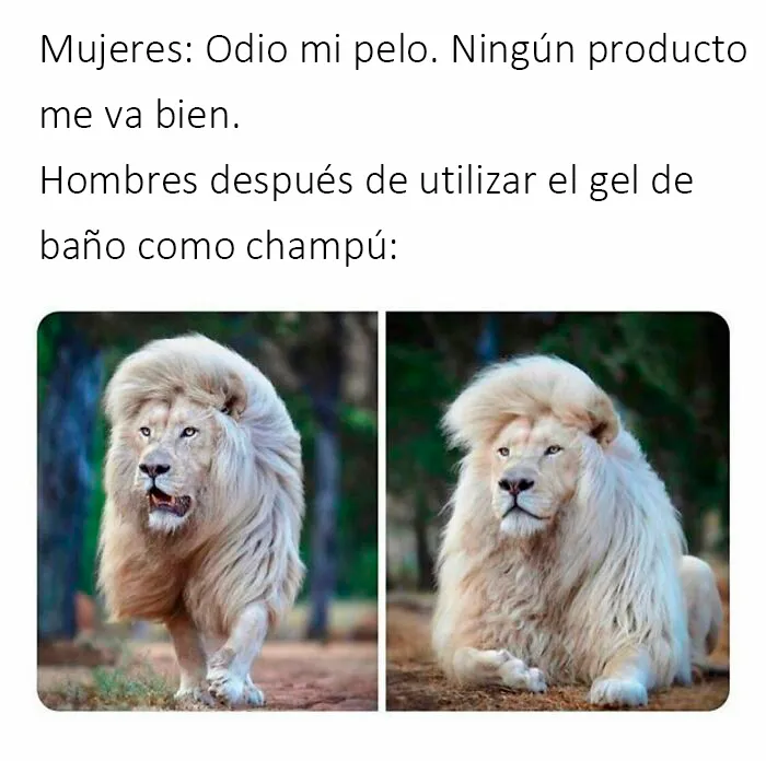 20 Divertidos memes con los que te identificarás demasiado, compartidos por esta página de Instagram