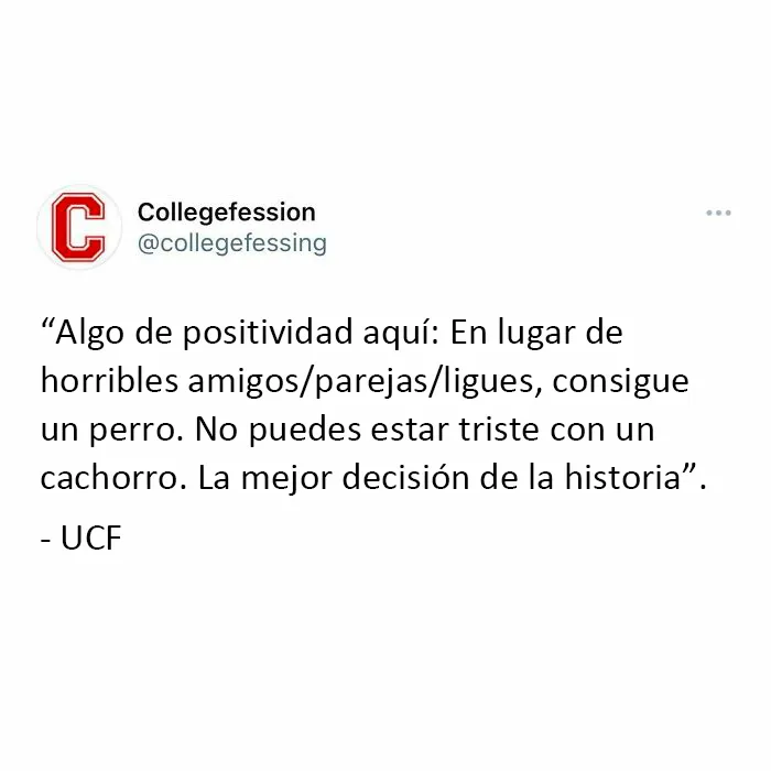20 Estudiantes comparten "confesiones universitarias" anónimas que no admitirían públicamente