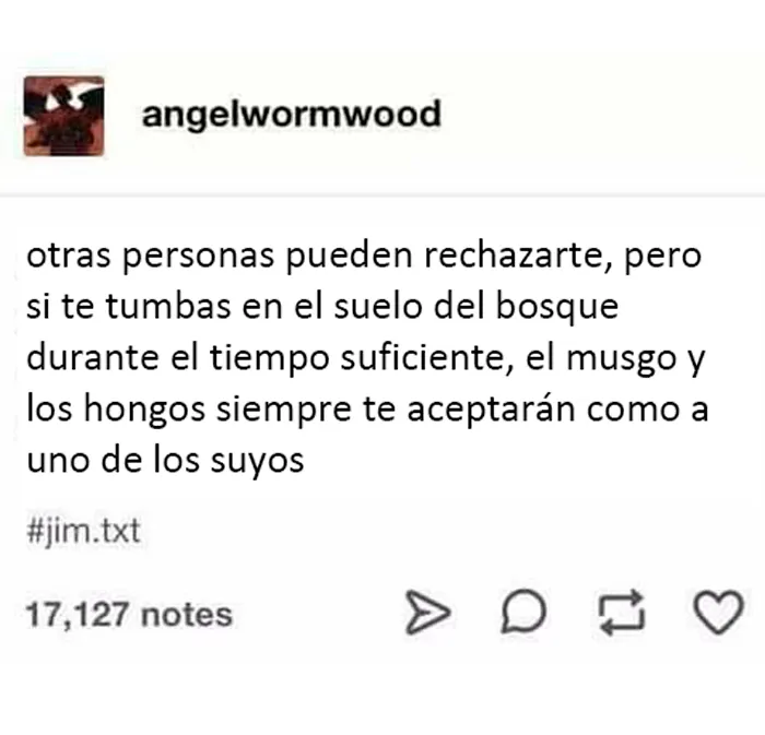 "Estás siendo rescatado, no te resistas": 20 de los mejores memes sobre optimismo ominoso