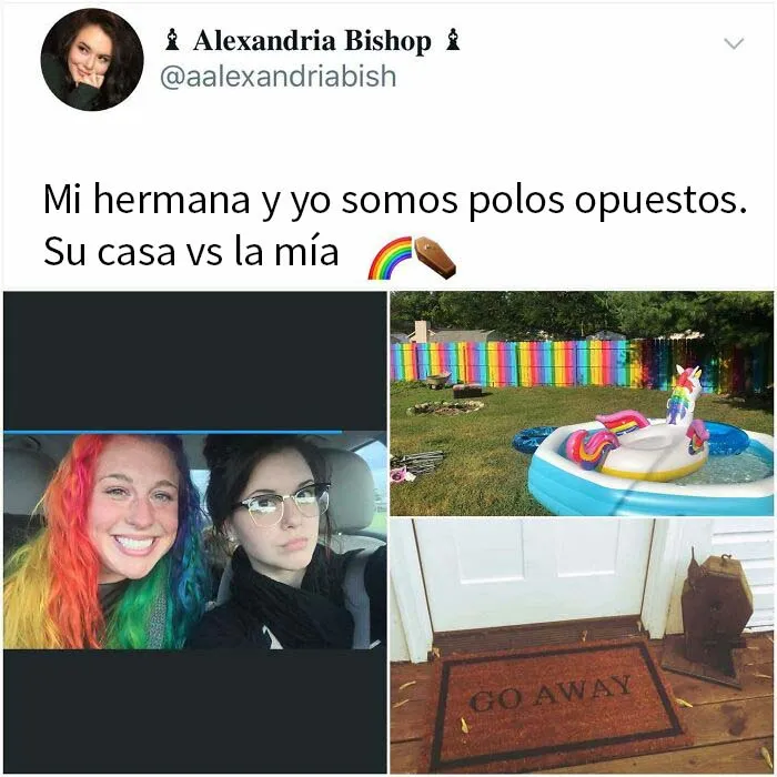 "El rey de los memes reconfortantes": 20 de los mejores memes publicados por esta cuenta de Instagram
