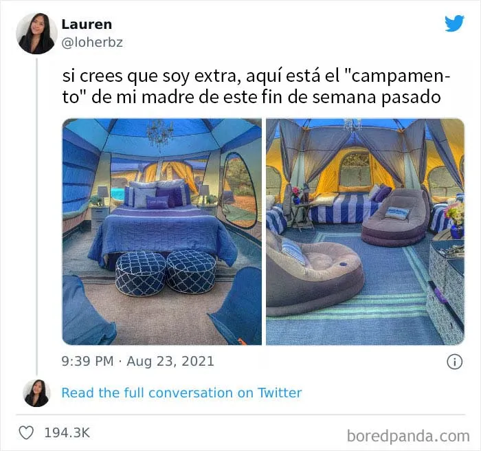 "El rey de los memes reconfortantes": 20 de los mejores memes publicados por esta cuenta de Instagram