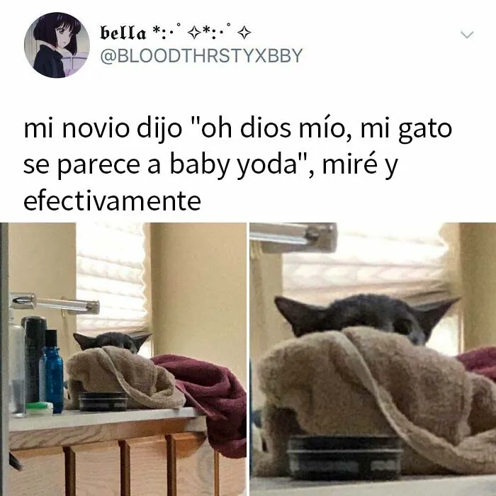 "El rey de los memes reconfortantes": 20 de los mejores memes publicados por esta cuenta de Instagram