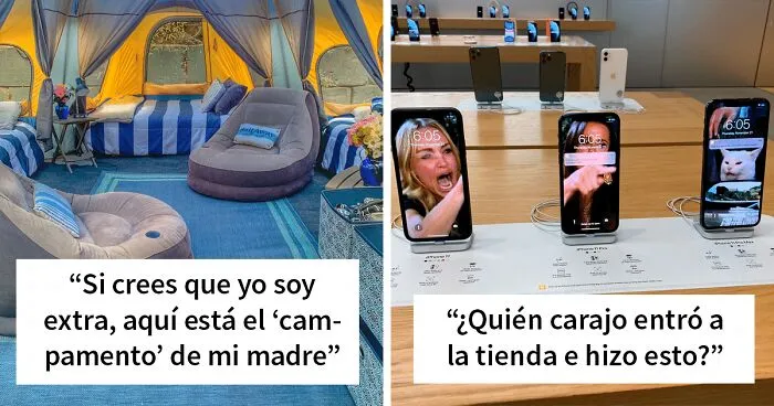 "El rey de los memes reconfortantes": 20 de los mejores memes publicados por esta cuenta de Instagram